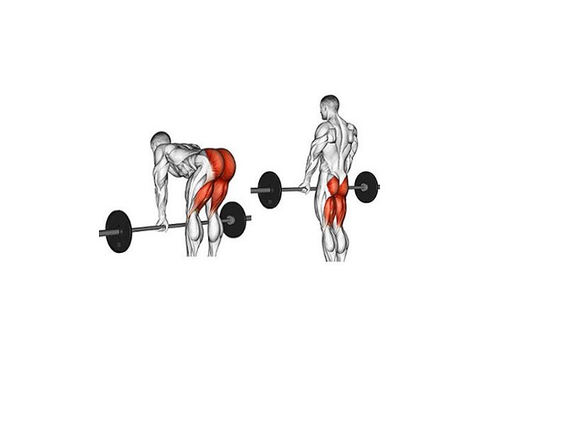 رومانیایی ددلیفت Romanian Deadlifts